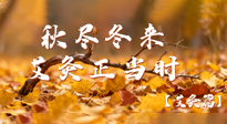 【健康/艾灸】秋盡冬來(lái)，艾灸正當(dāng)時(shí)——解鎖季節(jié)交替的養(yǎng)生密碼！